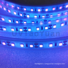 SMD3528 LED DC12V 24V 120LEDs Waterproof UV 395nm Purple LED Strip